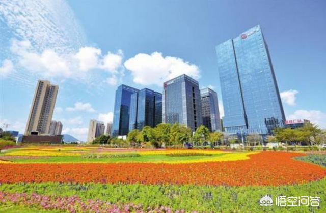深圳坪山新区的未来在哪里？