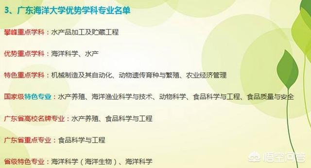 广东海洋大学是一所怎样的大学<strong></p>
<p>广东政府网</strong>，在广东能排在什么位置？