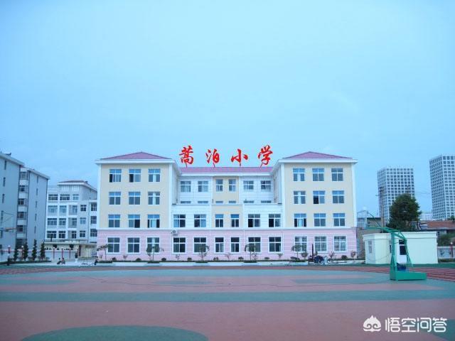 威海有什么好的小学<strong></p>
<p>南山实验小学</strong>？