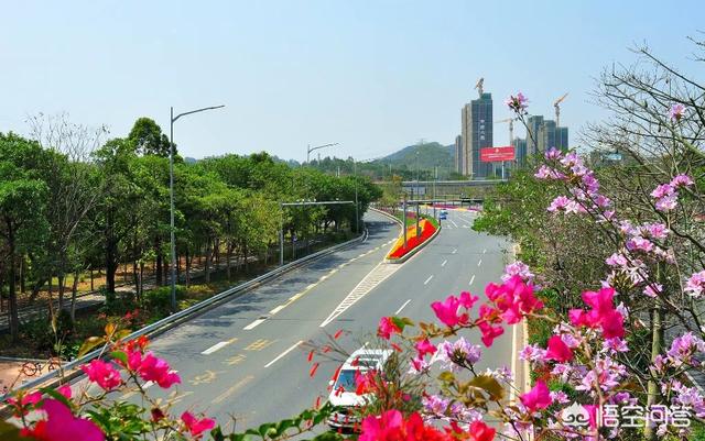 惠州市区和深圳龙岗中心城<strong></p>
<p>龙岗龙城公园</strong>，你更喜欢在哪生活？