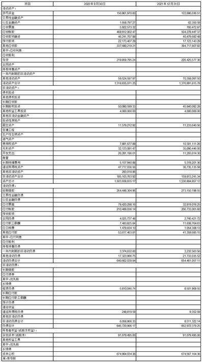 深圳市有方科技股份有限公司2022第三季度报告