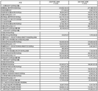 深圳市有方科技股份有限公司2022第三季度报告