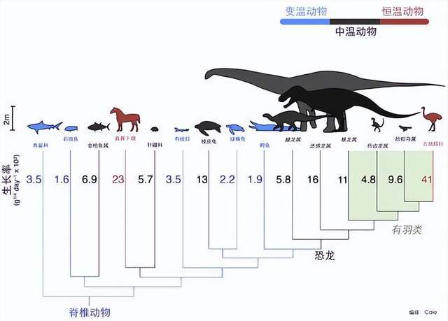 既然高温会使病毒和癌细胞失活，为什么人体温度不设置高一点？