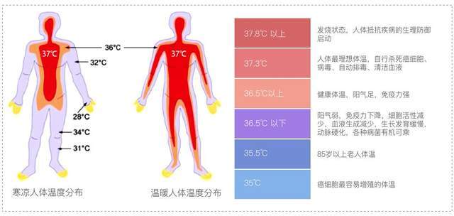 既然高温会使病毒和癌细胞失活，为什么人体温度不设置高一点？