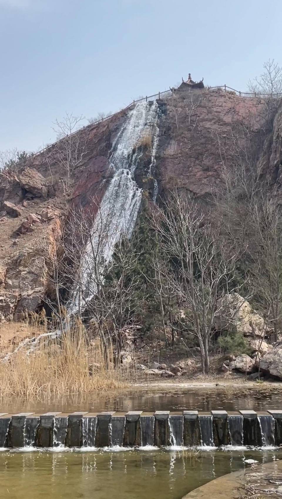 昌邑市第十四届山阳梨花节将于3月29日举行