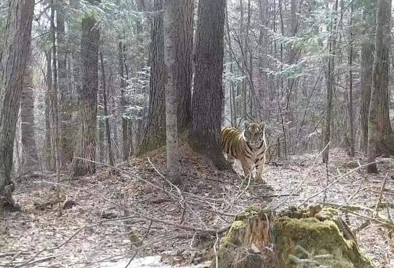 紧急预警！这一家三口，在吉林出现