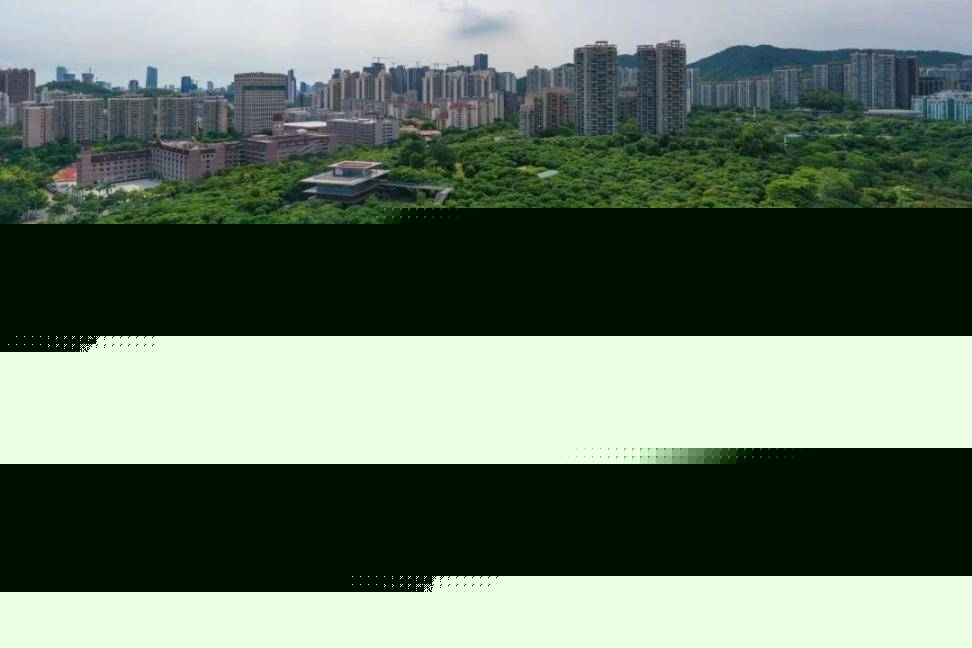 穿行“山海”逛深圳｜公园总数达1260个，“公园里的深圳”爱了爱了！