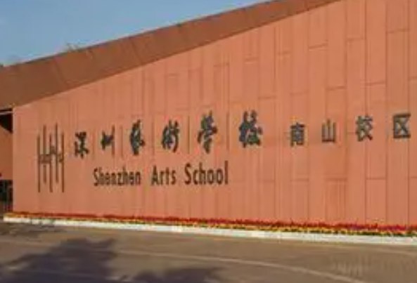 深圳艺术学校是高中还是中专