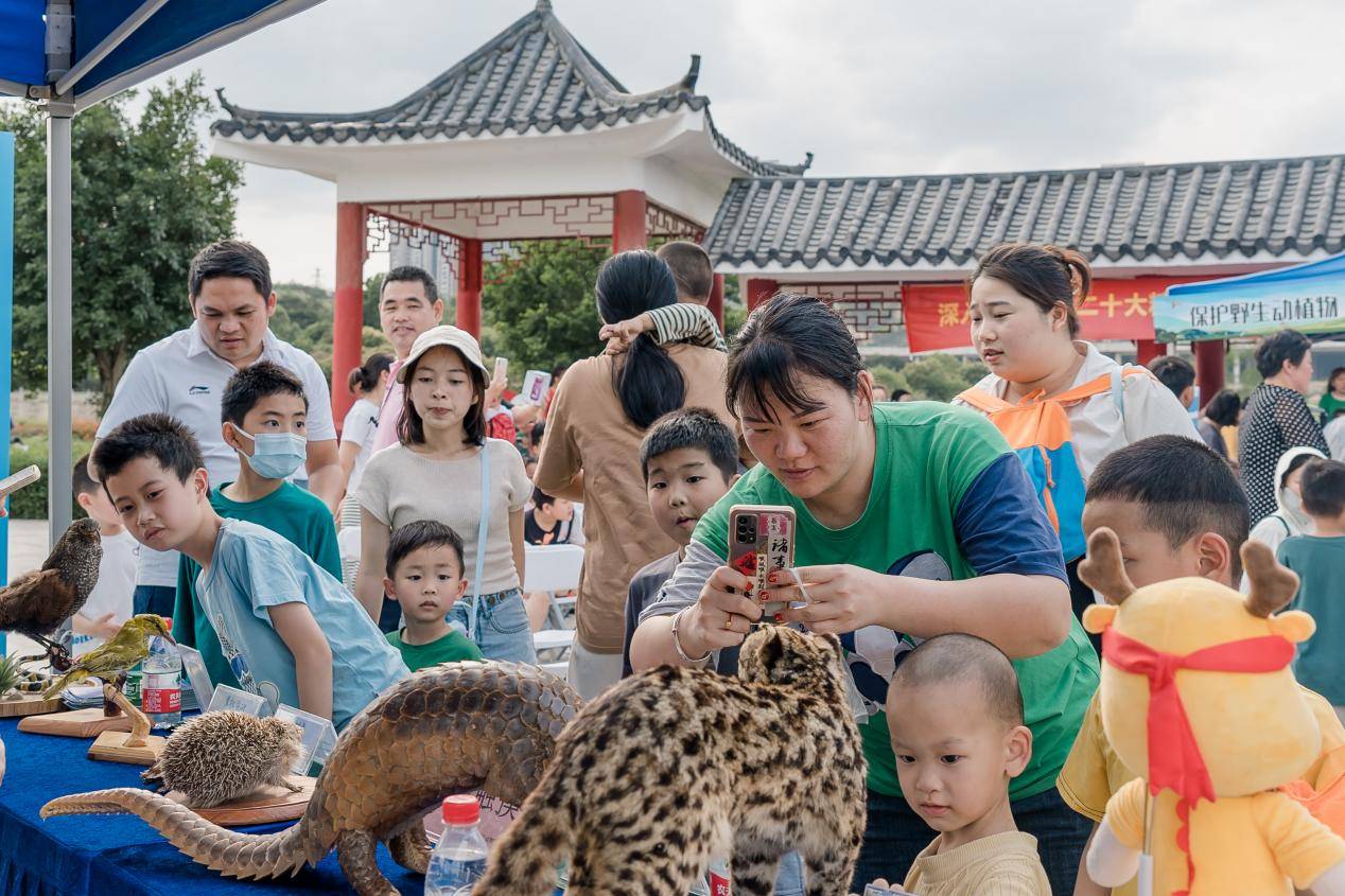 爱鸟课在龙岗河湿地公园开讲啦！爱鸟护鸟龙岗市民总动员