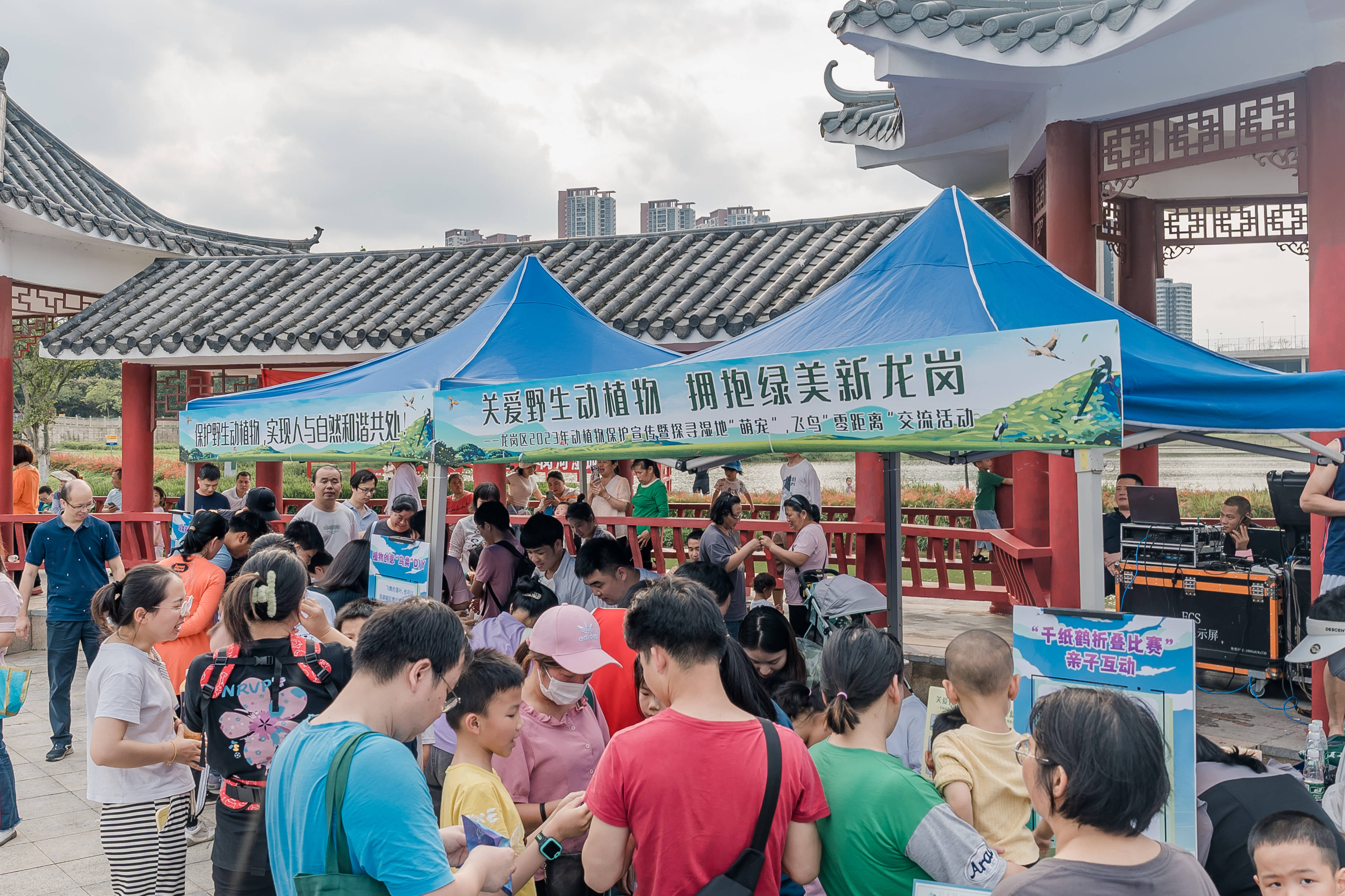 爱鸟课在龙岗河湿地公园开讲啦！爱鸟护鸟龙岗市民总动员