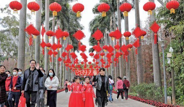 就地过年“玩”力十足！肇庆多景区春节档火爆