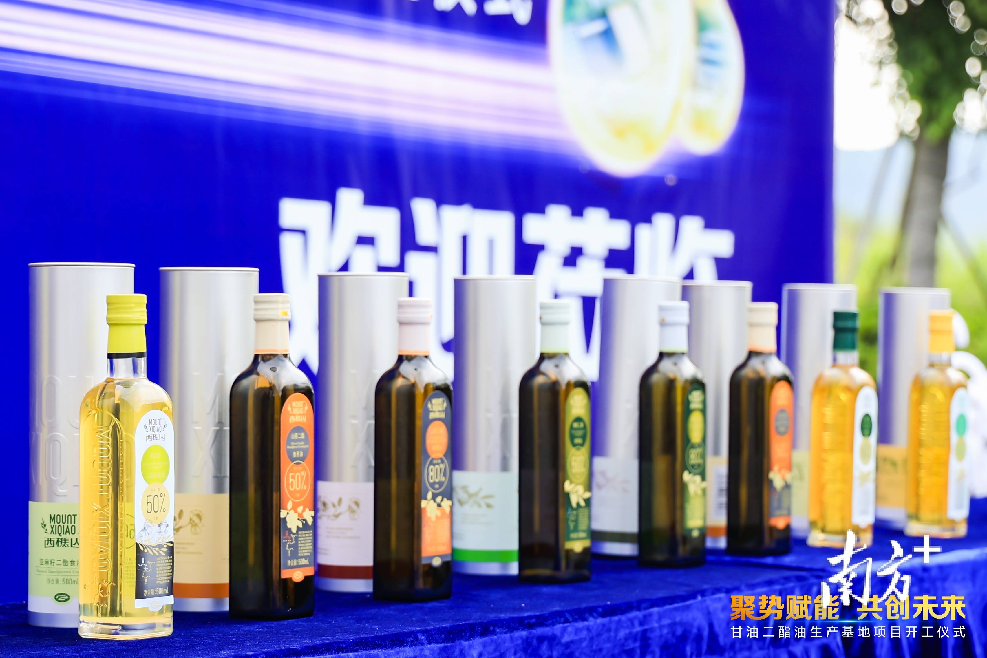 打造中国功能性油脂第一品牌！南海“樵山康谷”重磅项目开工