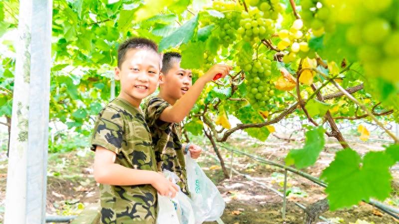 宁波北仑：农村文化礼堂助力青少年玩出花样假期