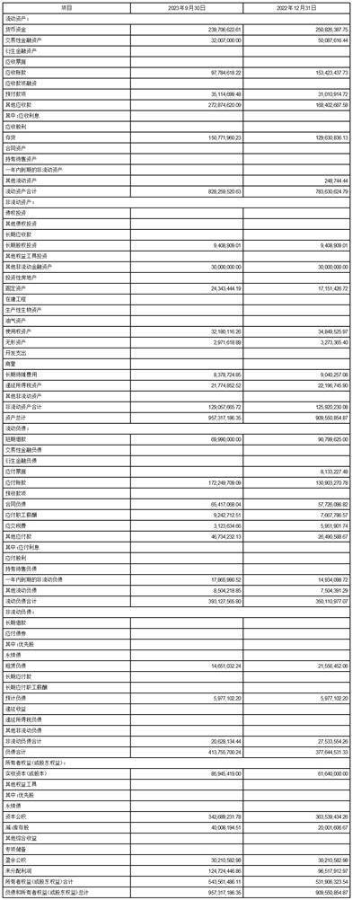 深圳市倍轻松科技股份有限公司2023第三季度报告