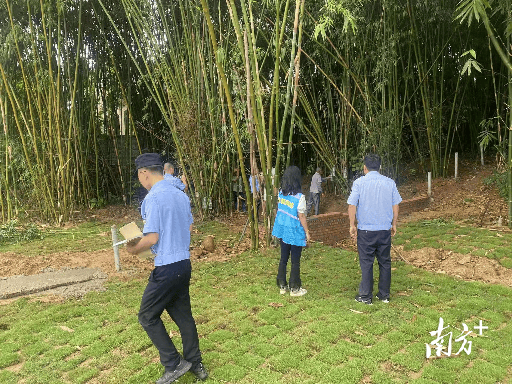 以法为凭 循法而行，清新太和探索三“促”深化人民调解