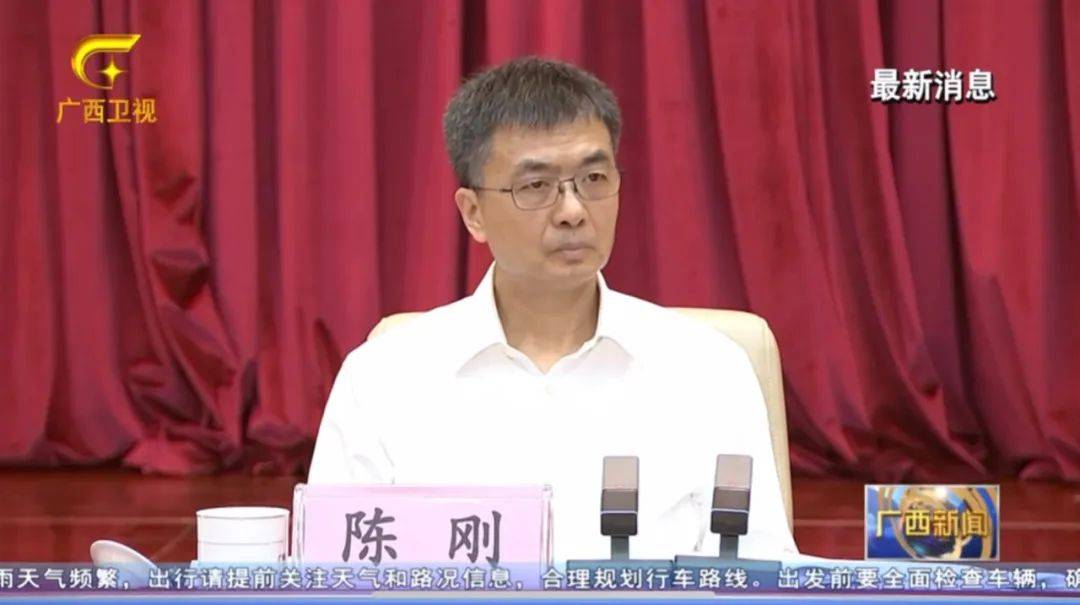 倒查十年！陈刚要求严肃追责，6位省部级任组长