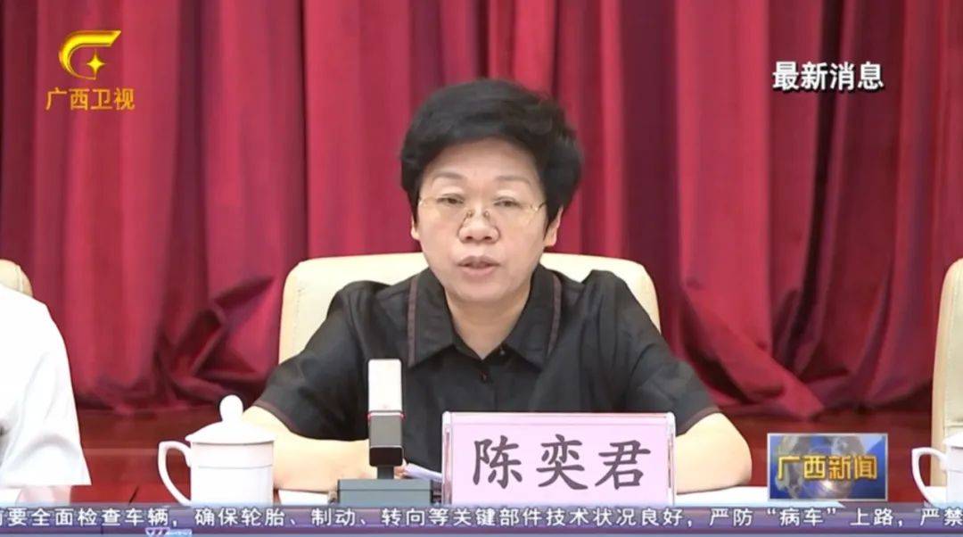 倒查十年！陈刚要求严肃追责，6位省部级任组长