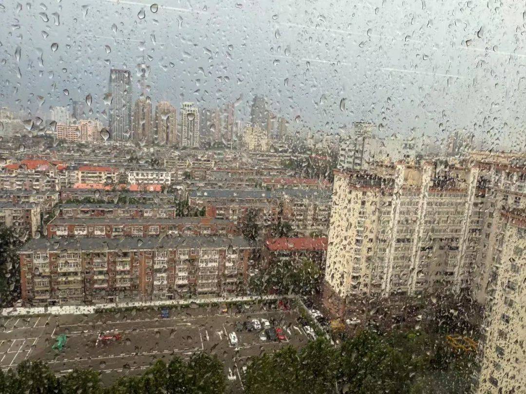 天津：雨下了！树倒了！10级大风！黄色预警！