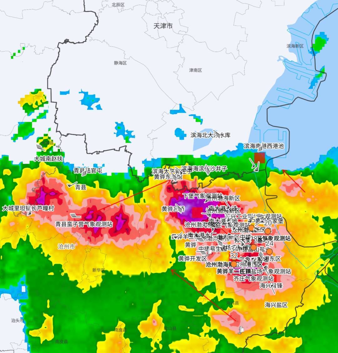 天津：雨下了！树倒了！10级大风！黄色预警！