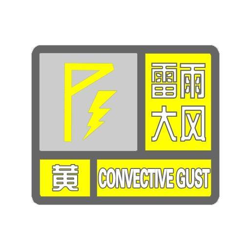 天津：雨下了！树倒了！10级大风！黄色预警！