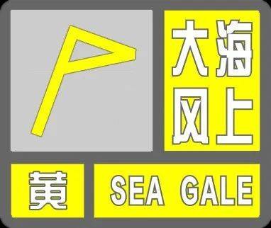 天津：雨下了！树倒了！10级大风！黄色预警！
