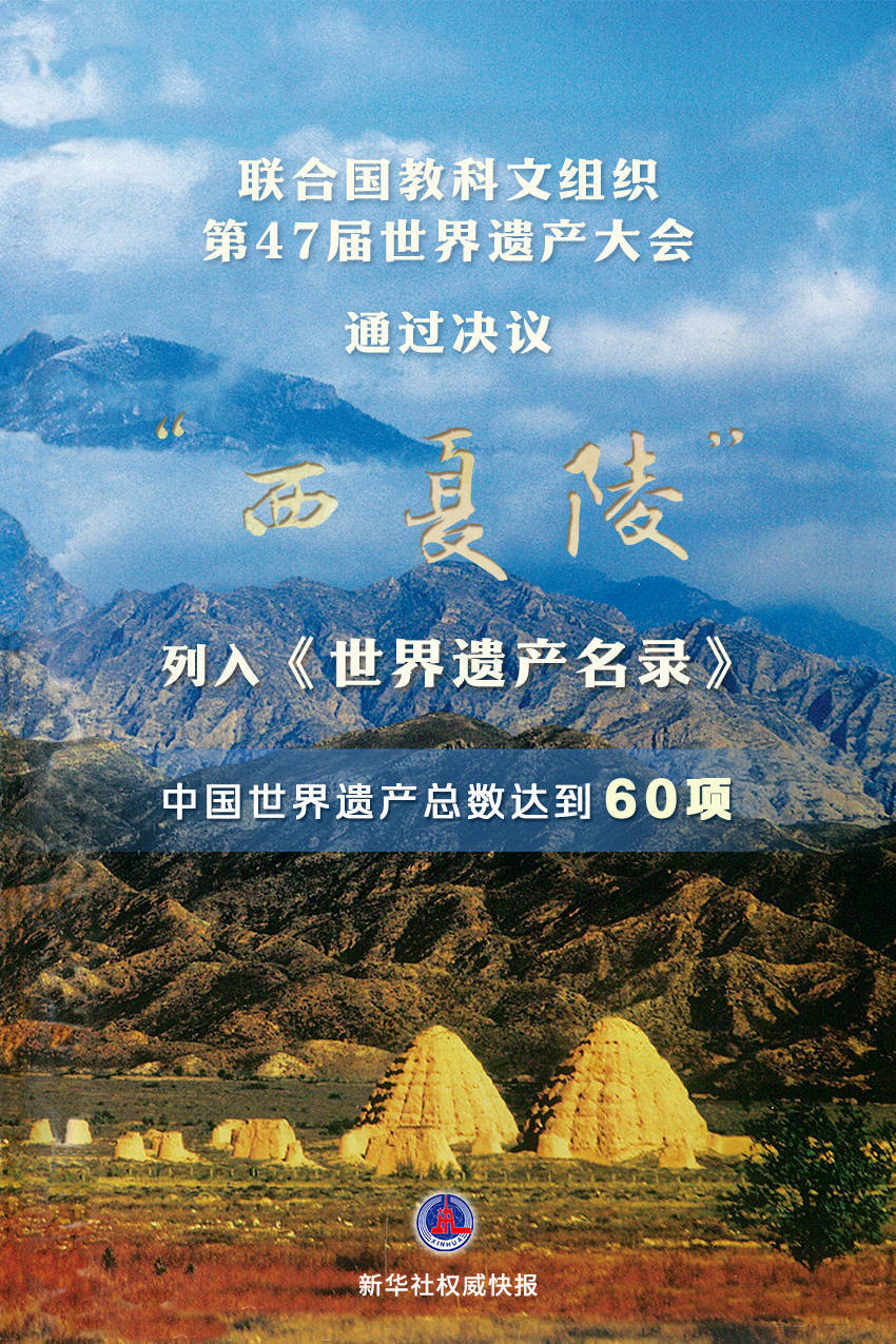 新华鲜报｜第60项！“西夏陵”列入《世界遗产名录》