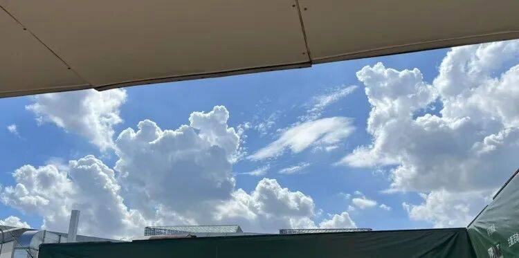 上海又热成全国第一！网友连呼“回到黄梅天”，还要热多久？