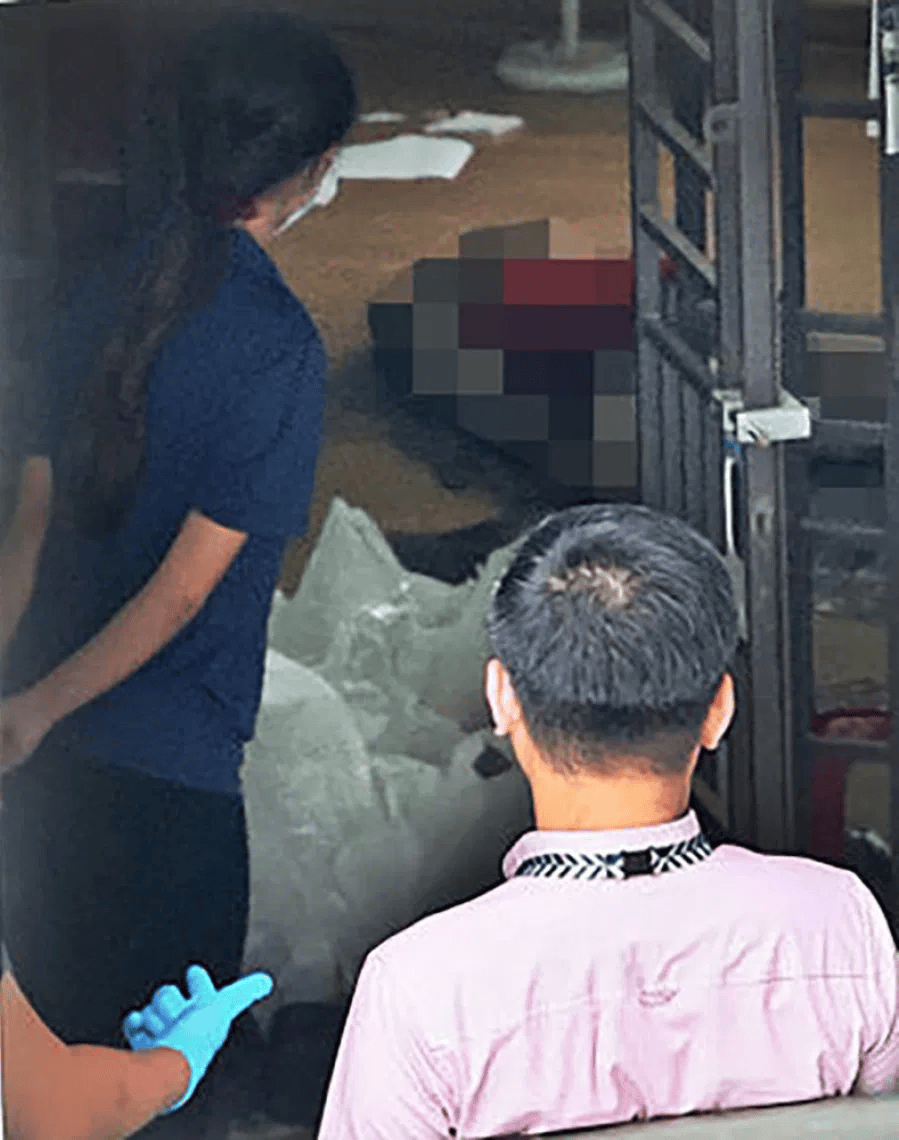 新加坡现双尸案：父亲成白骨，剑桥博士女儿疑饿死，一家来自东北