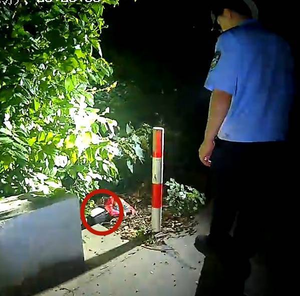 浙江一姑娘以奶茶为记号，竟然在草丛里藏了11万现金！