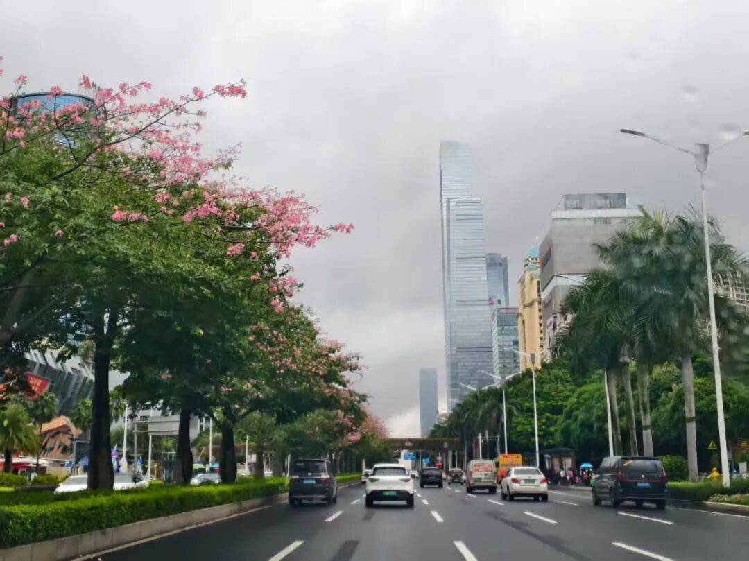 “火箭式”升温！广西最高温或冲到“3”字头