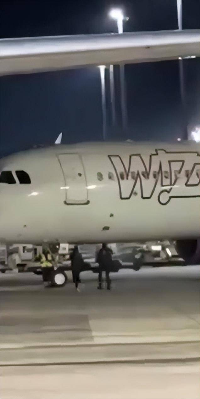 在德国错过登机，两男子神操作：跑上停机坪挥手拦截滑行飞机