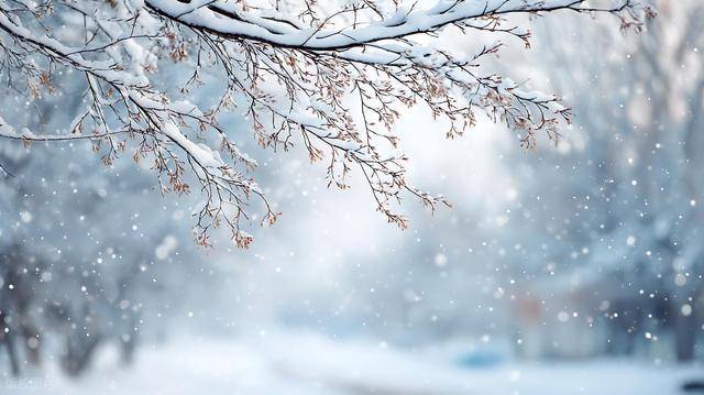 中到大雪局部暴雪，-12℃+大风！山东最新天气预报