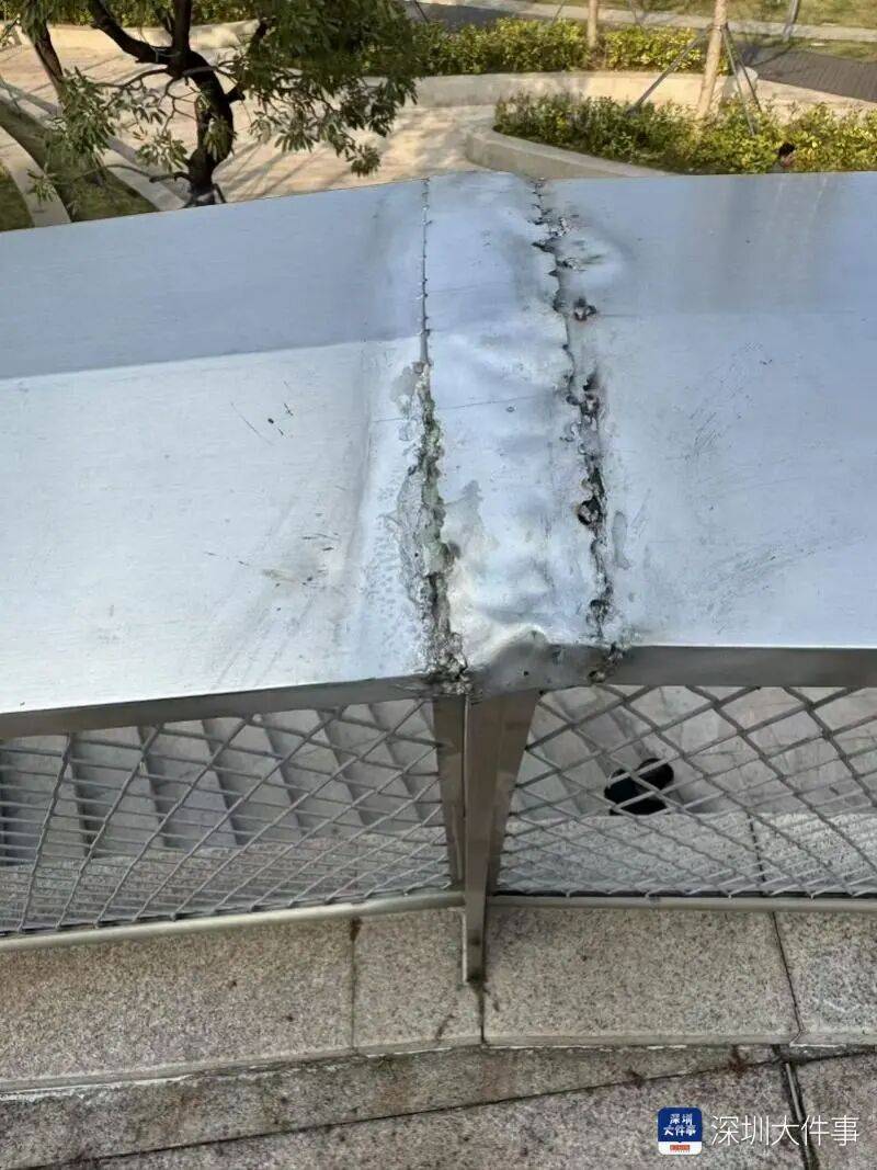“影响我的形象”！一男子在深圳湾遭遇意外，头皮被戳破！部门回应