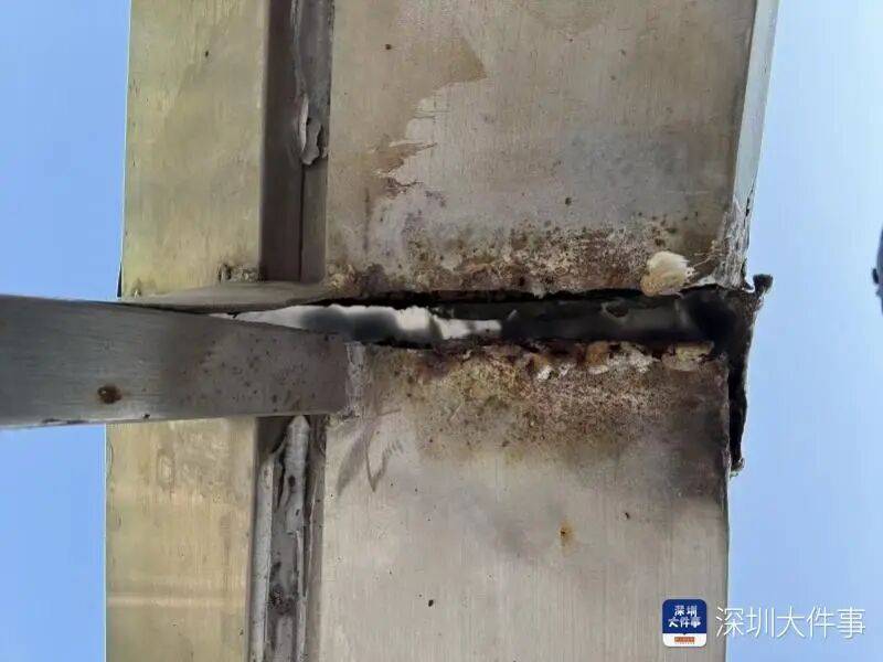 “影响我的形象”！一男子在深圳湾遭遇意外，头皮被戳破！部门回应