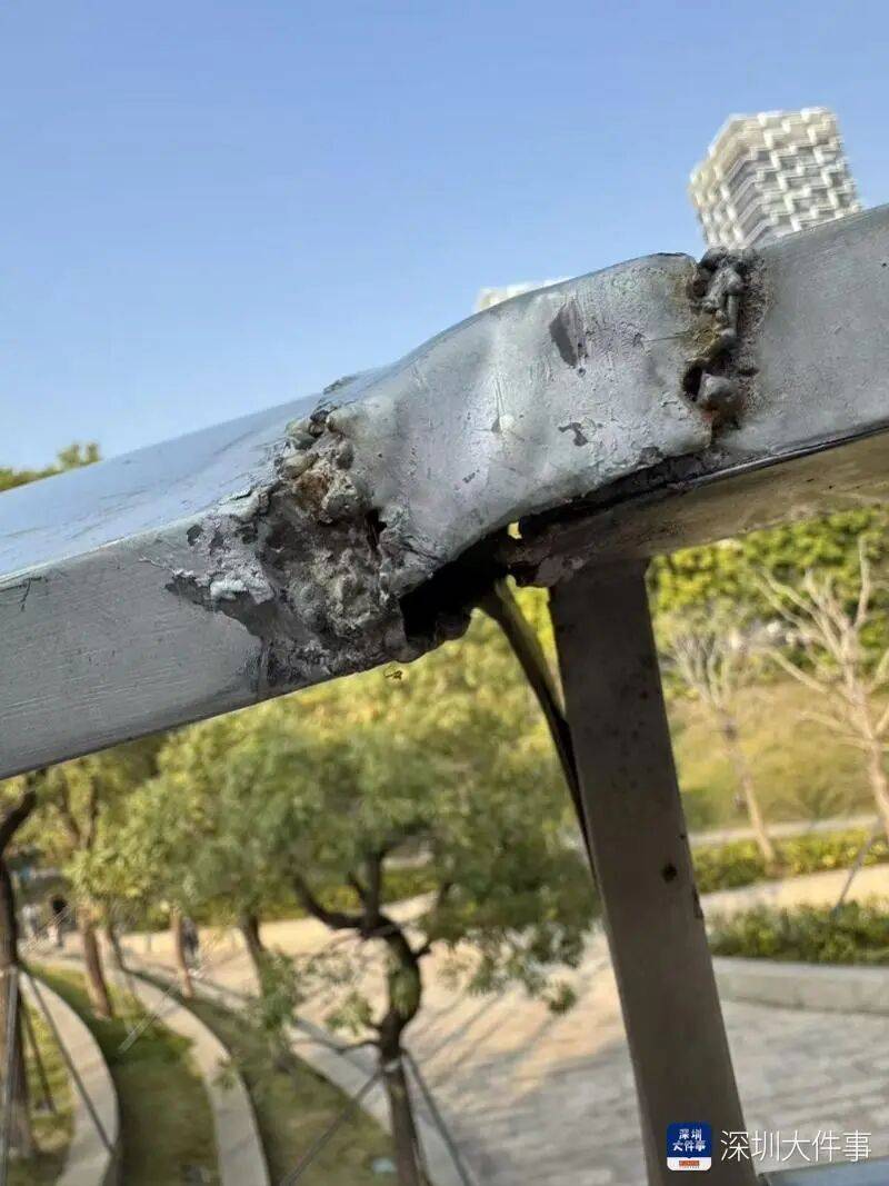 “影响我的形象”！一男子在深圳湾遭遇意外，头皮被戳破！部门回应