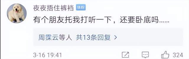 央视记者卧底成了公司二把手，收入暴涨，手下多了十几个小弟，领导怕他叛变天天嘘寒问暖……