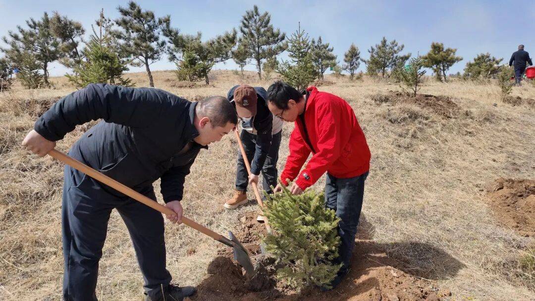 市残联开展“春风植新绿 实干护青山”主题党日活动