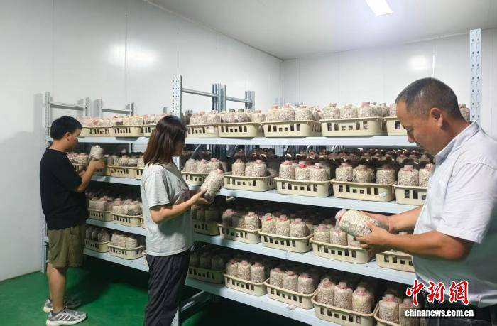 (乡村行·看振兴)聚贤赋能循环农业 江西德兴统战铺就乡村共富路