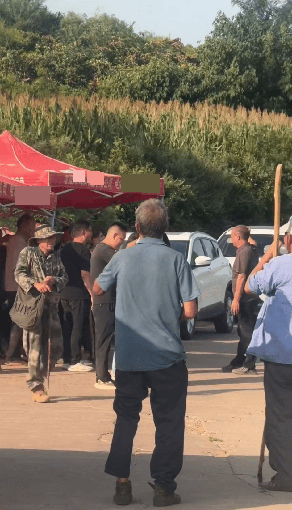 河南一女子上山打枣失联四天，正在持续搜救，曾打电话给家人称被马蜂蜇伤，救援人员回应