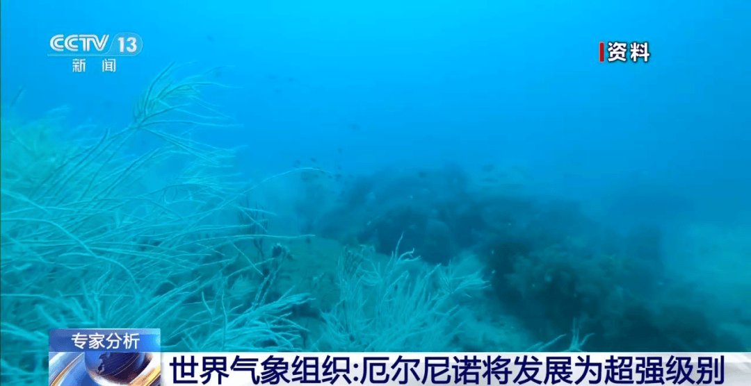 英国政府要求民众提前存粮存水，呼吁家家户户储备罐头食品