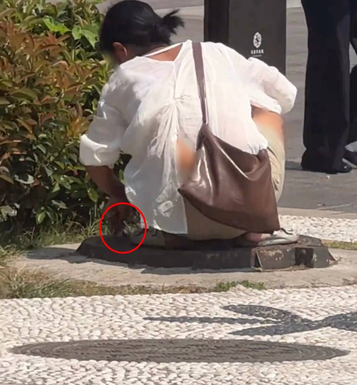女子形迹可疑四处张望,向西安街边雨水井塞入管状不明物品,警方已介入调查