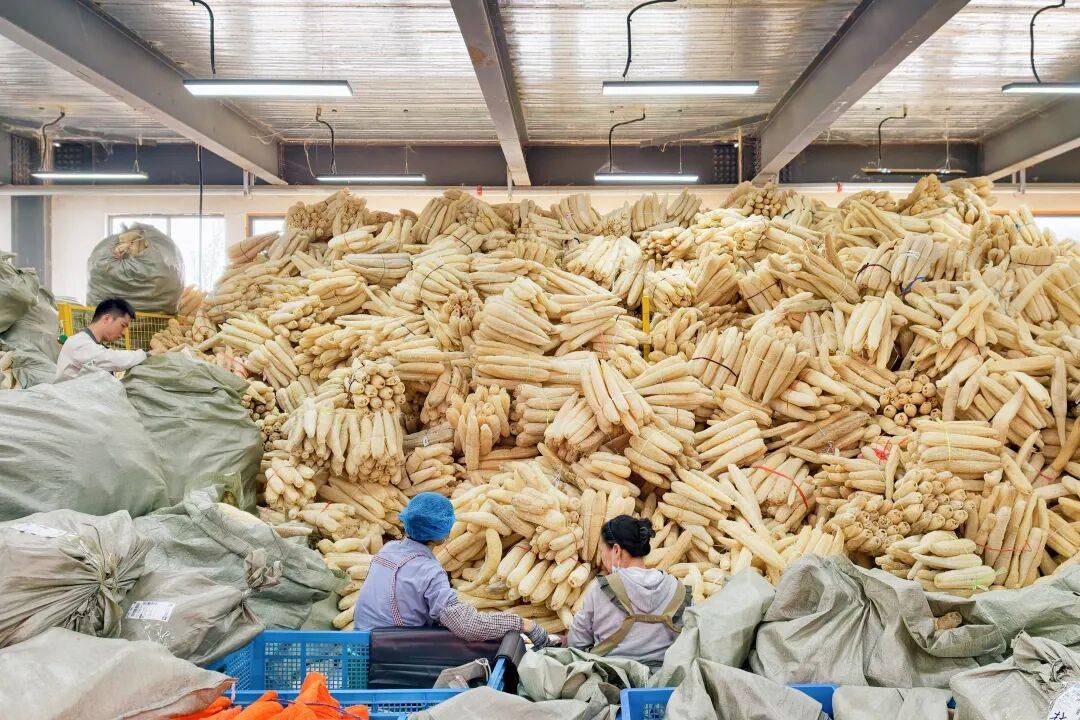 客户一次要60万根，她以为听错了……河南姑娘把“刷锅神器”做成行业“头部”，100多款产品卖进50多个国家